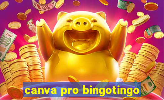 canva pro bingotingo